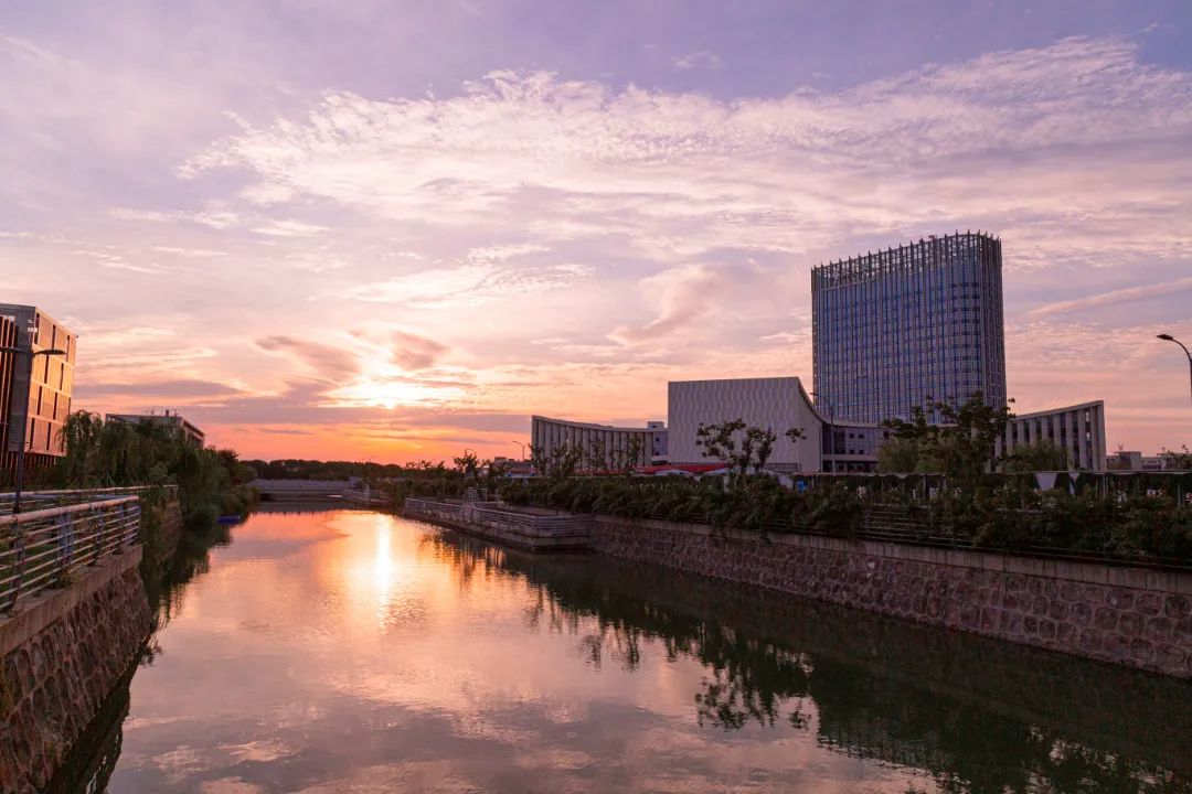 IMG_4230-216.jpg 图片