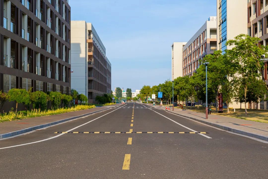 IMG_4125-141.jpg 图片