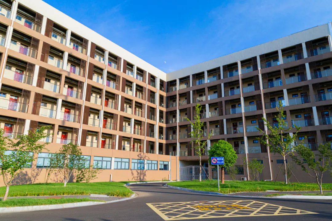 IMG_4119-133.jpg 图片