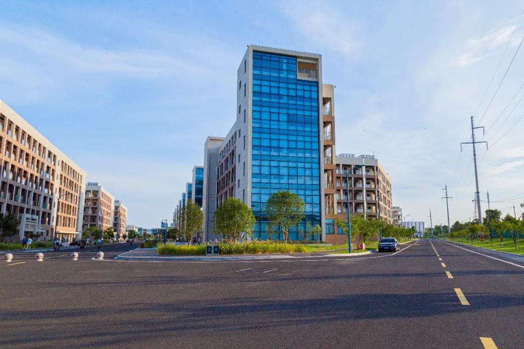 IMG_4105-125.jpg 图片