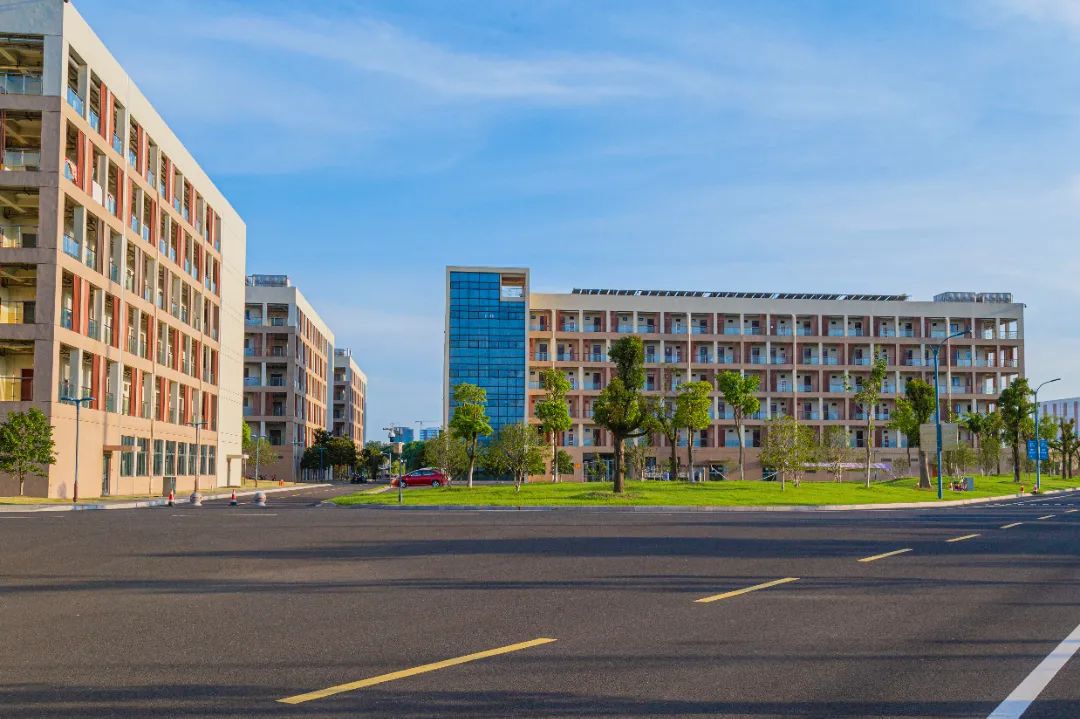 IMG_4121-137.jpg 图片