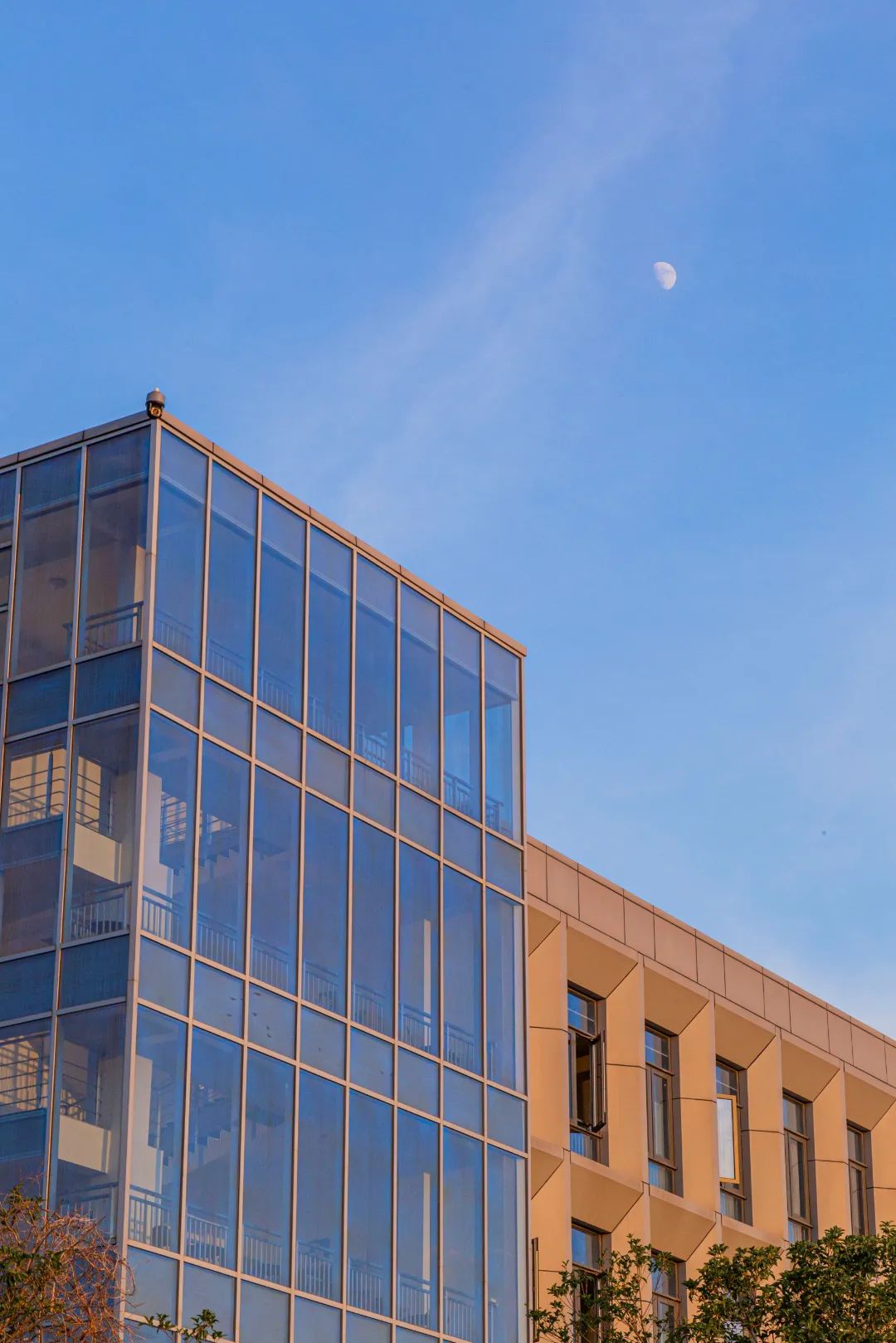 IMG_4215-211.jpg 图片