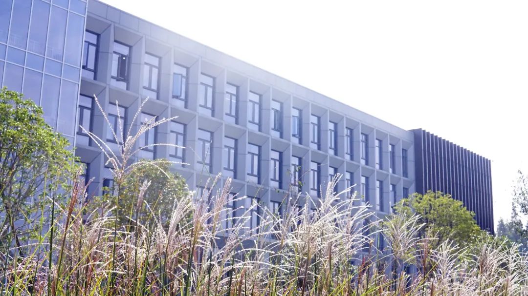 DSC08085_副本.jpg 图片