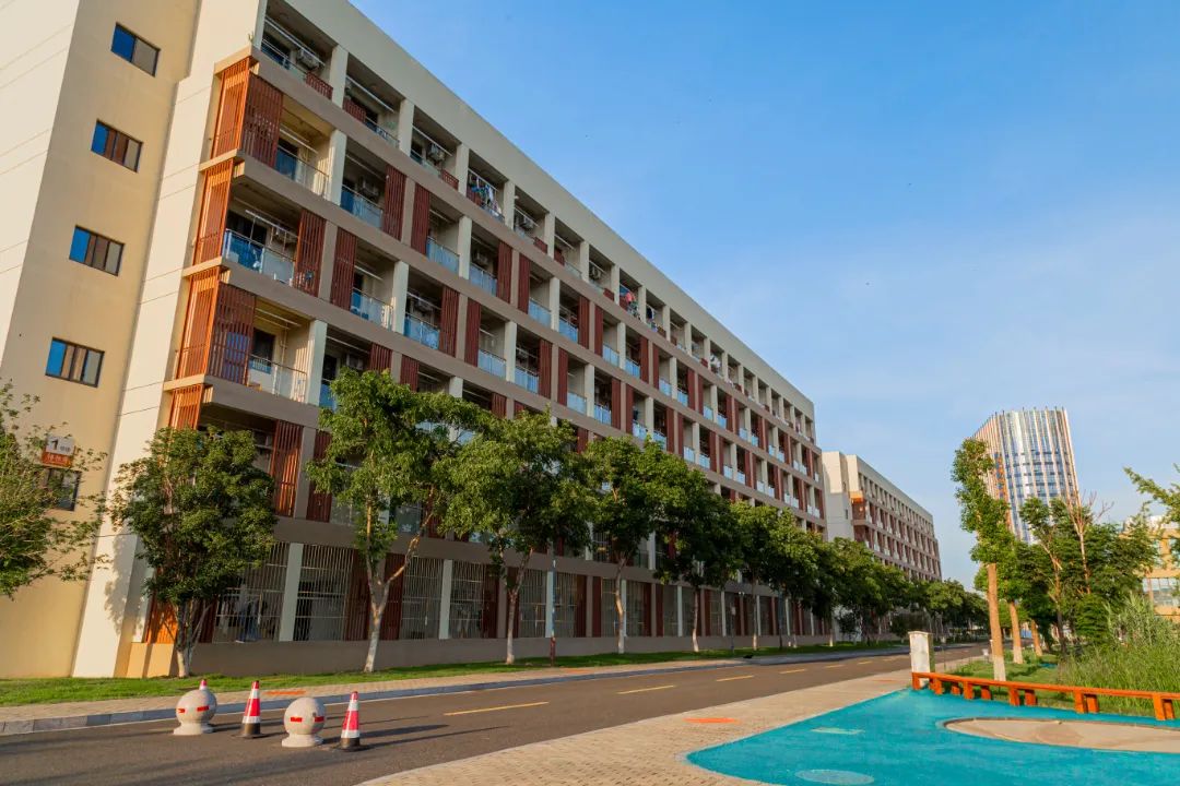 IMG_4141-155.jpg 图片