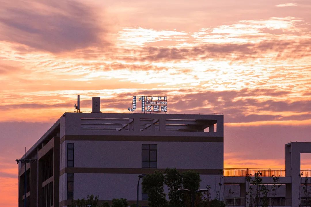 IMG_4251-223.jpg 图片