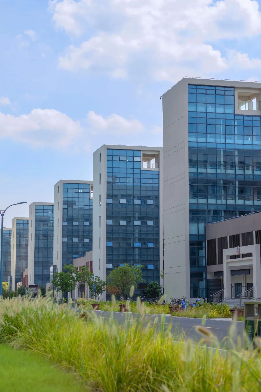 FU8A9150-37.jpg 图片