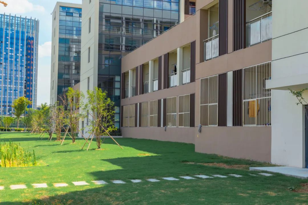 IMG_4028-42.jpg 图片