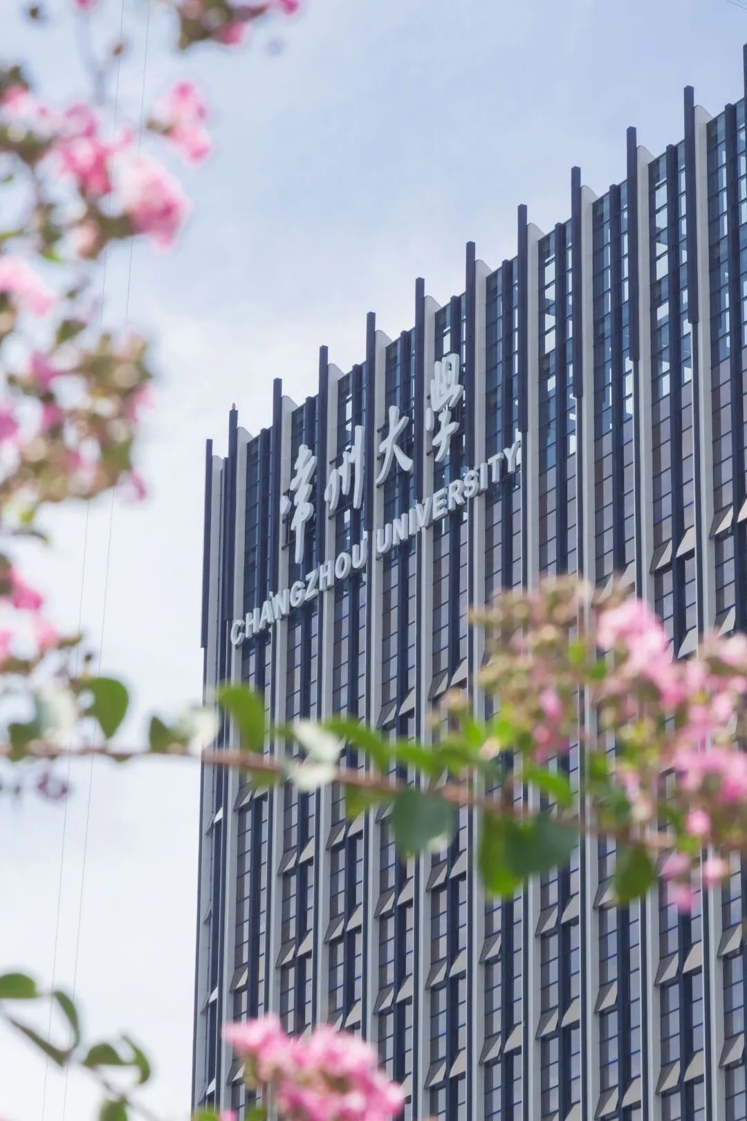 IMG_3981-7.jpg 图片